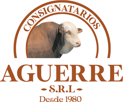 Logo Aguerre SRL