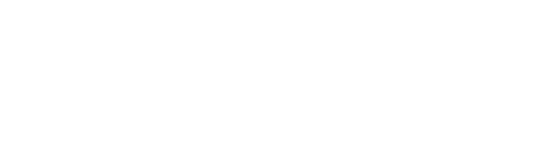 Logo Lartirigoyen