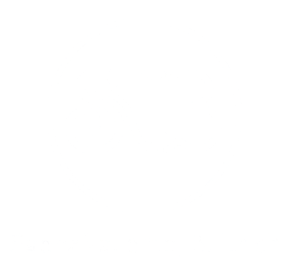 Saenz Valiente, Bullrich y Cia. SA
