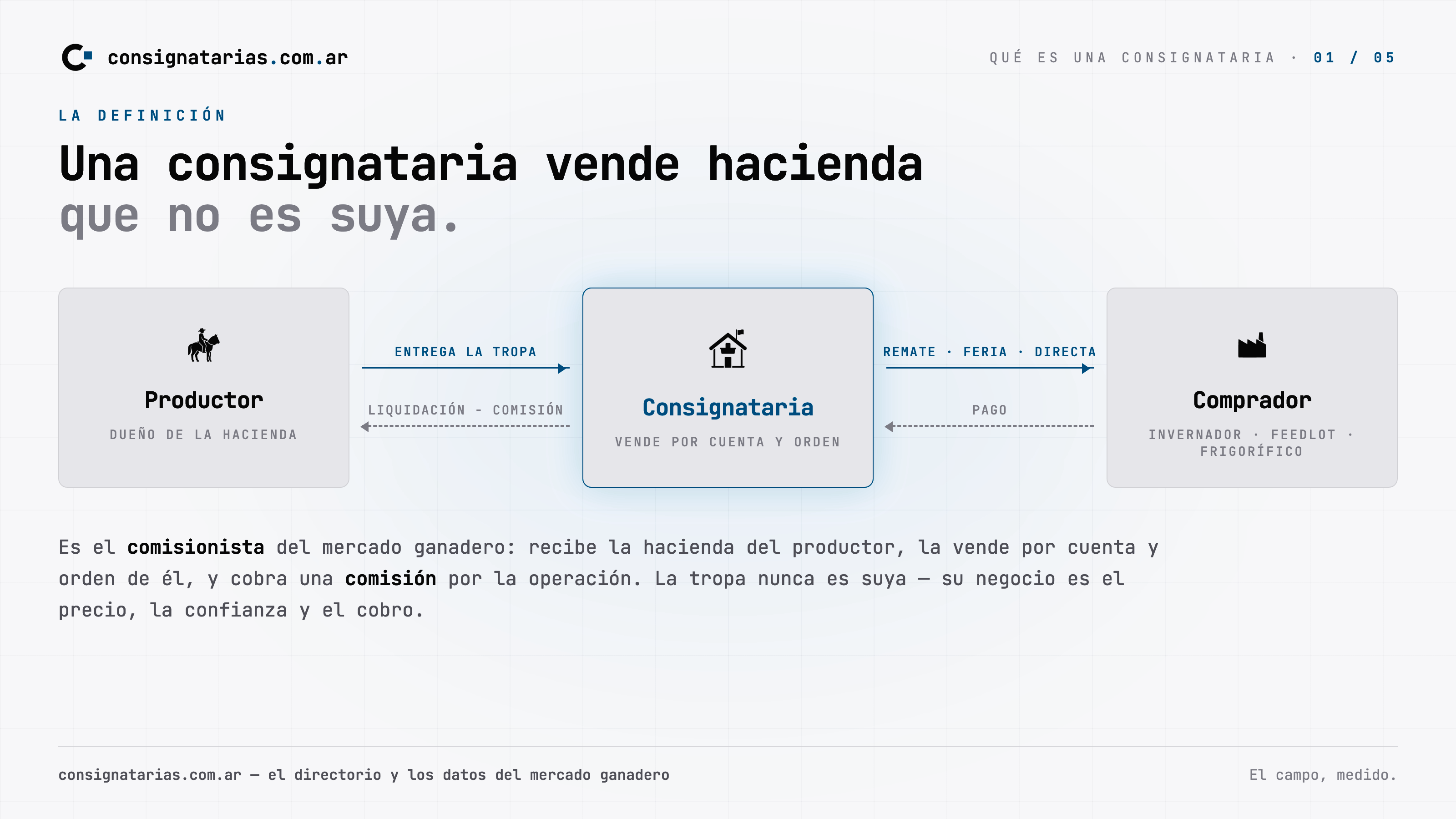 Primera lámina de la guía: qué es una consignataria