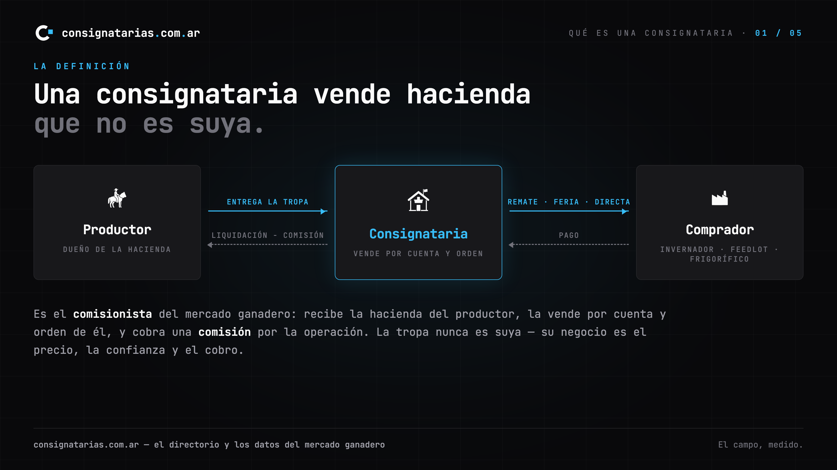 Primera lámina de la guía: qué es una consignataria